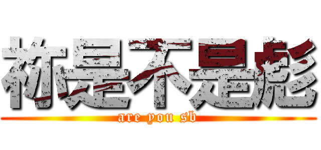 祢是不是彪 (are you sb)