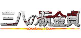 三八の阮金貞 (attack on titan)