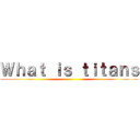 Ｗｈａｔ ｉｓ ｔｉｔａｎｓ ()