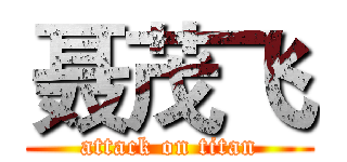 聂茂飞 (attack on titan)