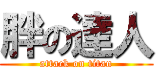 胖の達人 (attack on titan)