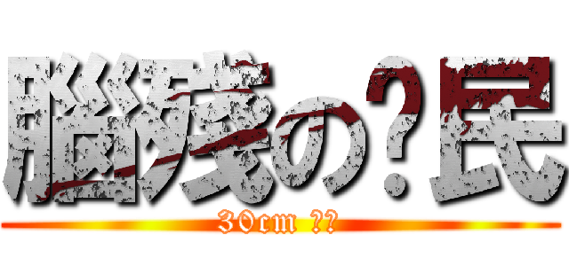 腦殘の鄉民 (30cm 逆襲)