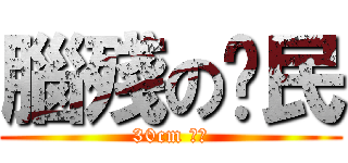 腦殘の鄉民 (30cm 逆襲)