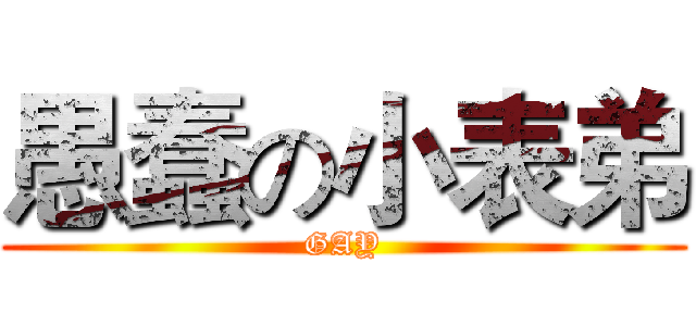 愚蠢の小表弟 (GAY)