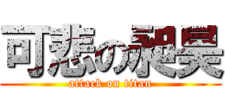 可悲の昶昊 (attack on titan)
