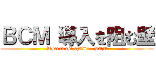 ＢＣＭ 導入を阻む壁 (What is the optimum BCM)