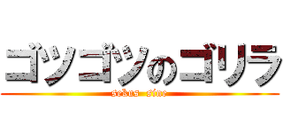 ゴツゴツのゴリラ (sekus  sine)