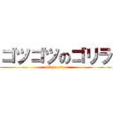 ゴツゴツのゴリラ (sekus  sine)
