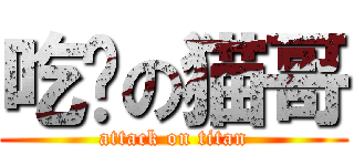 吃货の猫哥 (attack on titan)