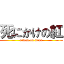 死にかけの紅 (attack on titan)