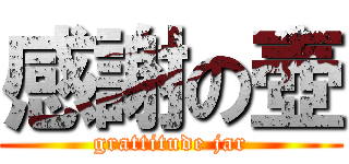 感謝の壺 (grattitude jar)