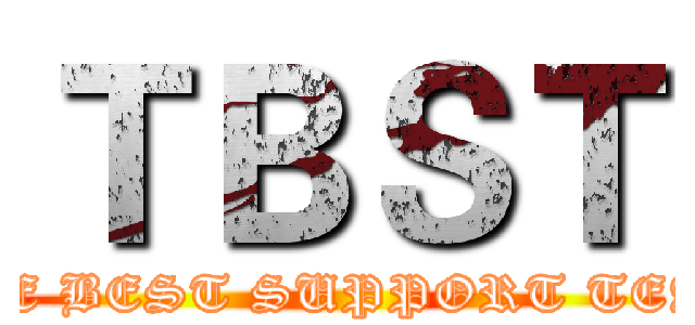 ＴＢＳＴ (THE BEST SUPPORT TEAM)