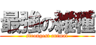最強の雑種 (strongest animal)