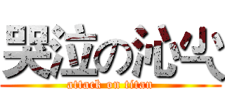 哭泣の沁尐 (attack on titan)