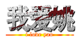 我爱姚 (i love yao)