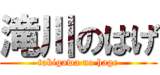 滝川のはげ (takigawa no hage)