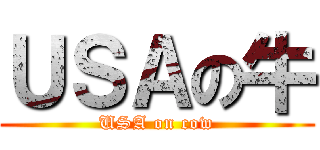 ＵＳＡの牛 (USA on cow)