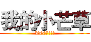 我的小芒草 (50607李政勳)