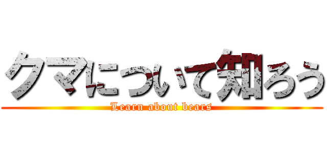 クマについて知ろう (Learn about bears)