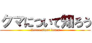 クマについて知ろう (Learn about bears)