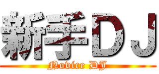 新手ＤＪ (Novice DJ)