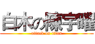 白木の陳宇曜 (attack on titan)