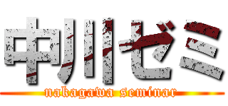 中川ゼミ (nakagawa seminar)