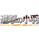 進撃の小羽 (..別不理我..)