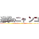 進撃のニャ ンコ (attack on titan)