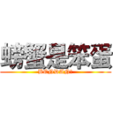 螃蟹是笨蛋 (BENDAN！)