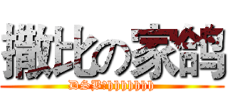 撒比の家鸽 (DSB，hhhhhhh)
