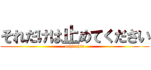 それだけは止めてください (ochinchin)