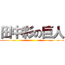 田中彩の巨人 ()