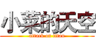 小菜的天空 (attack on titan)