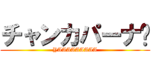 チャンカパーナ🎵 (YAAAAAAAAA)