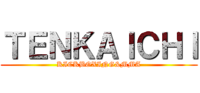 ＴＥＮＫＡＩＣＨＩ (KICKBOXING&MMA)