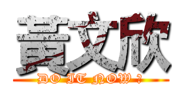黃文欣 (DO IT NOW ！)