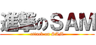 進撃のＳＡＭ (attack on SAM)