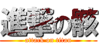 進撃の骸 (attack on titan)