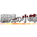 腦殘の小峰 (TMD，so nc)