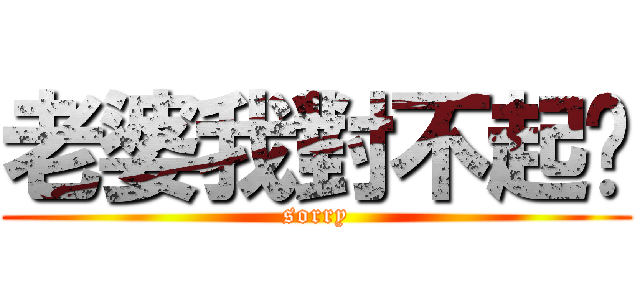 老婆我對不起你 (sorry)