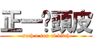 正一柒頭皮 (such a son of bitch)