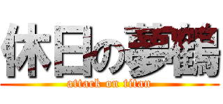 休日の夢鶴 (attack on titan)