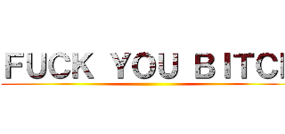 ＦＵＣＫ ＹＯＵ ＢＩＴＣＨ ()