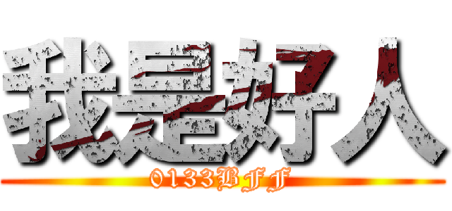 我是好人 (0133BFF)
