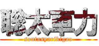 聡太車力 (soutasyarikigao)
