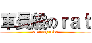 軍長般のｒａｔ (so many mice)