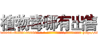 植物毒哪有出售 (植物毒哪有出售【电-186x2687x6963-Q278180069元-吉-药-业】我们做的是长期生意,靠的是老客户长期支持 http://sngk.net/W0VsEk
)