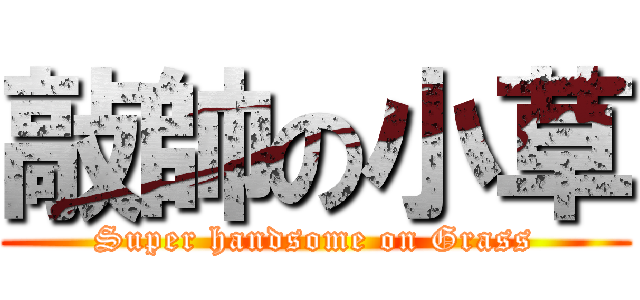 敲帥の小草 (Super handsome on Grass)