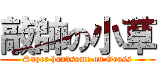 敲帥の小草 (Super handsome on Grass)